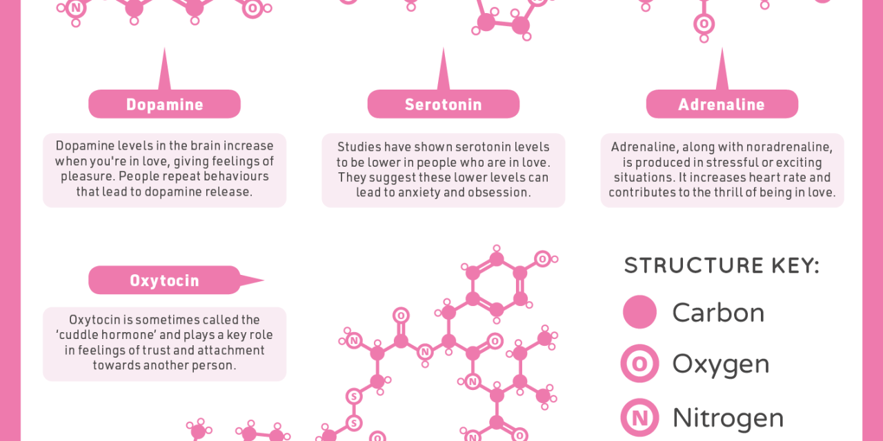 Valentines Day Chemistry