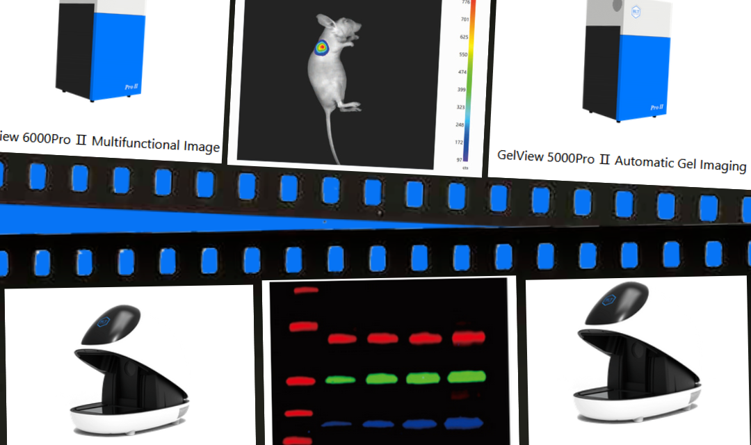 Optical Imaging Instruments